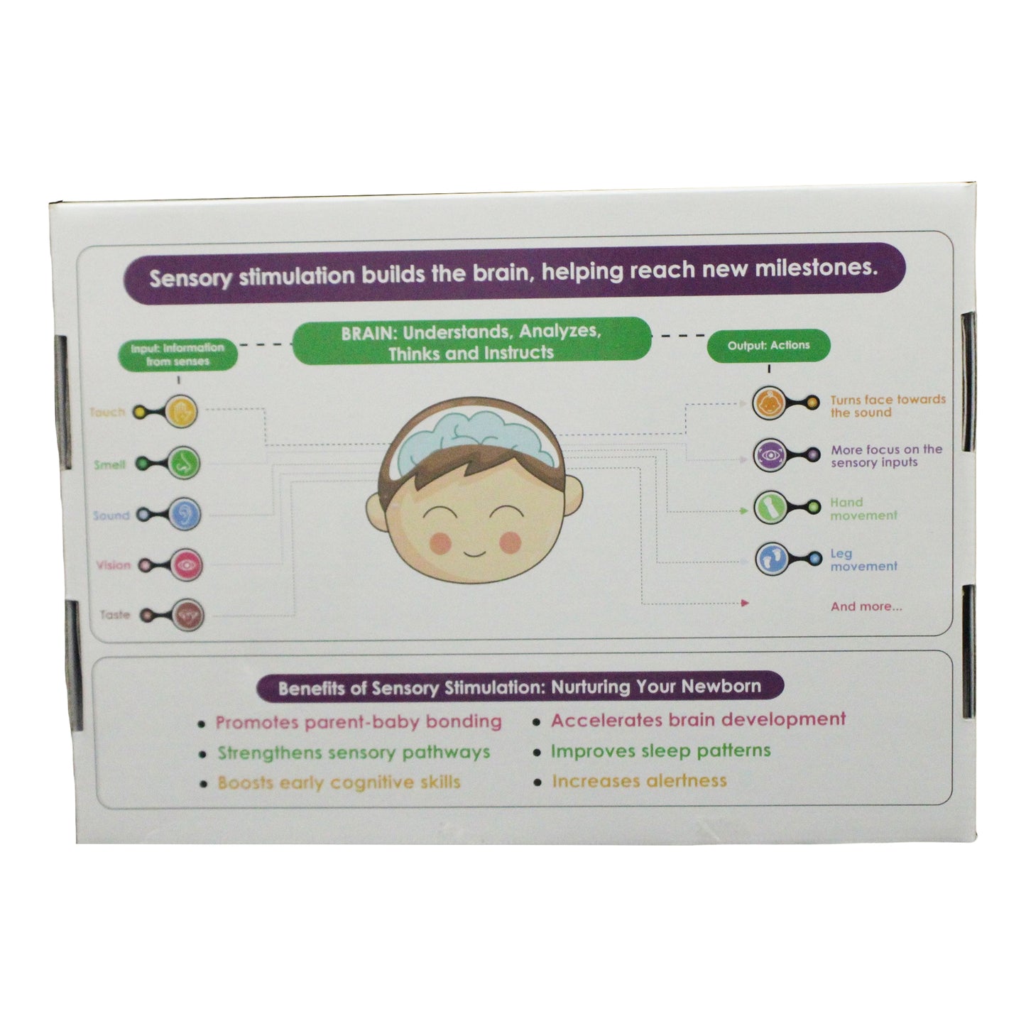 Hungry Brain Sensory Stimulation Kit For Newborn Baby ( 0 to 1 Month )