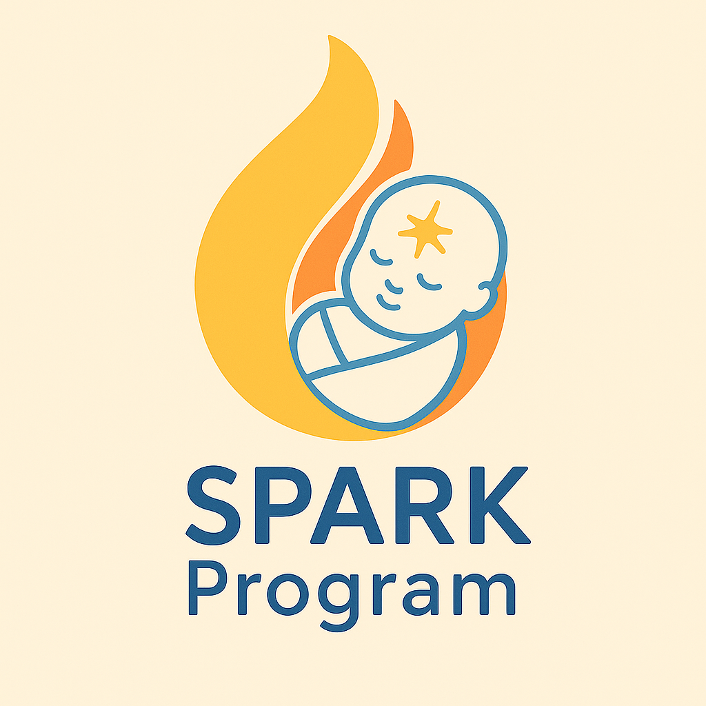 Spark Program (Premium)