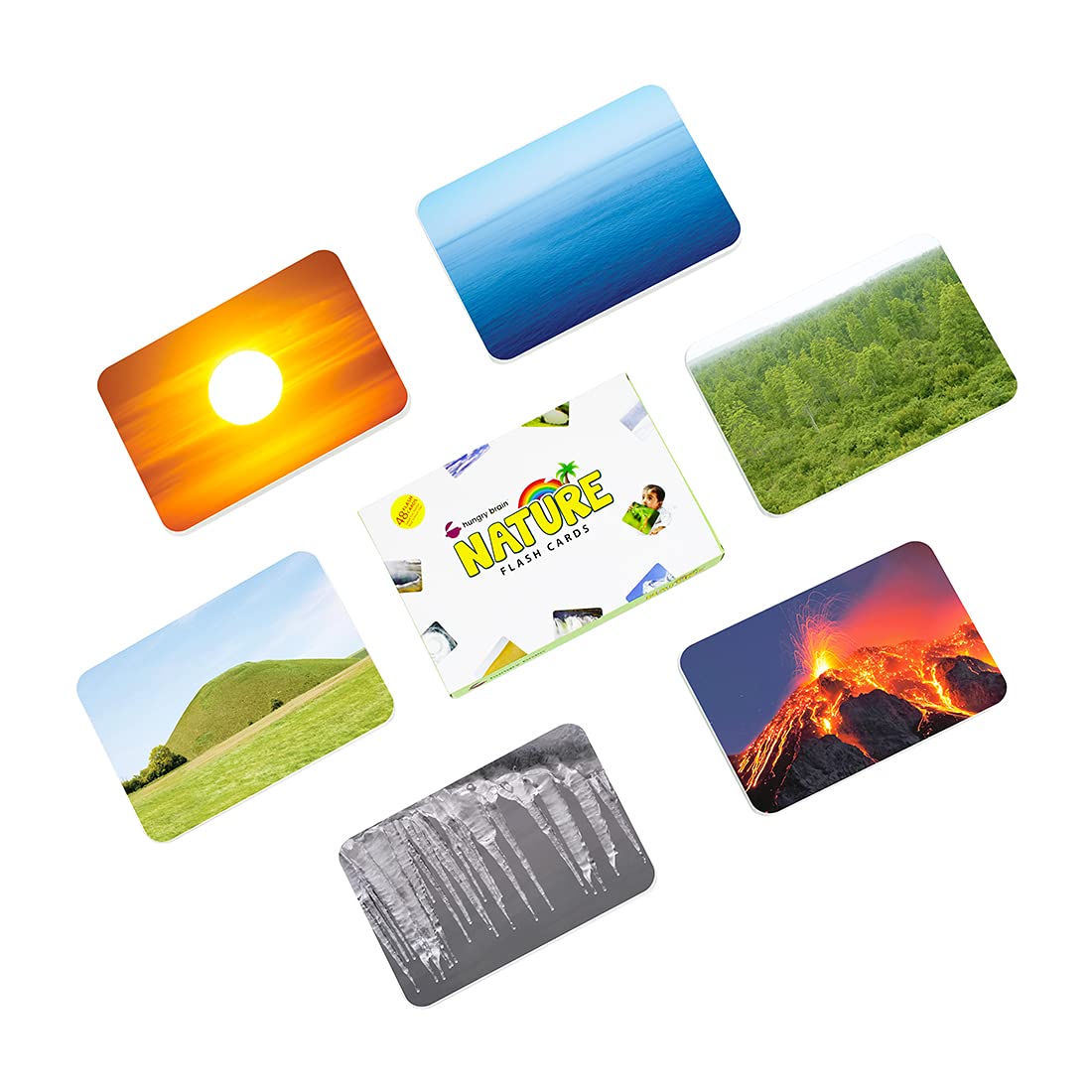 Hungry Brain Natures Flash Card