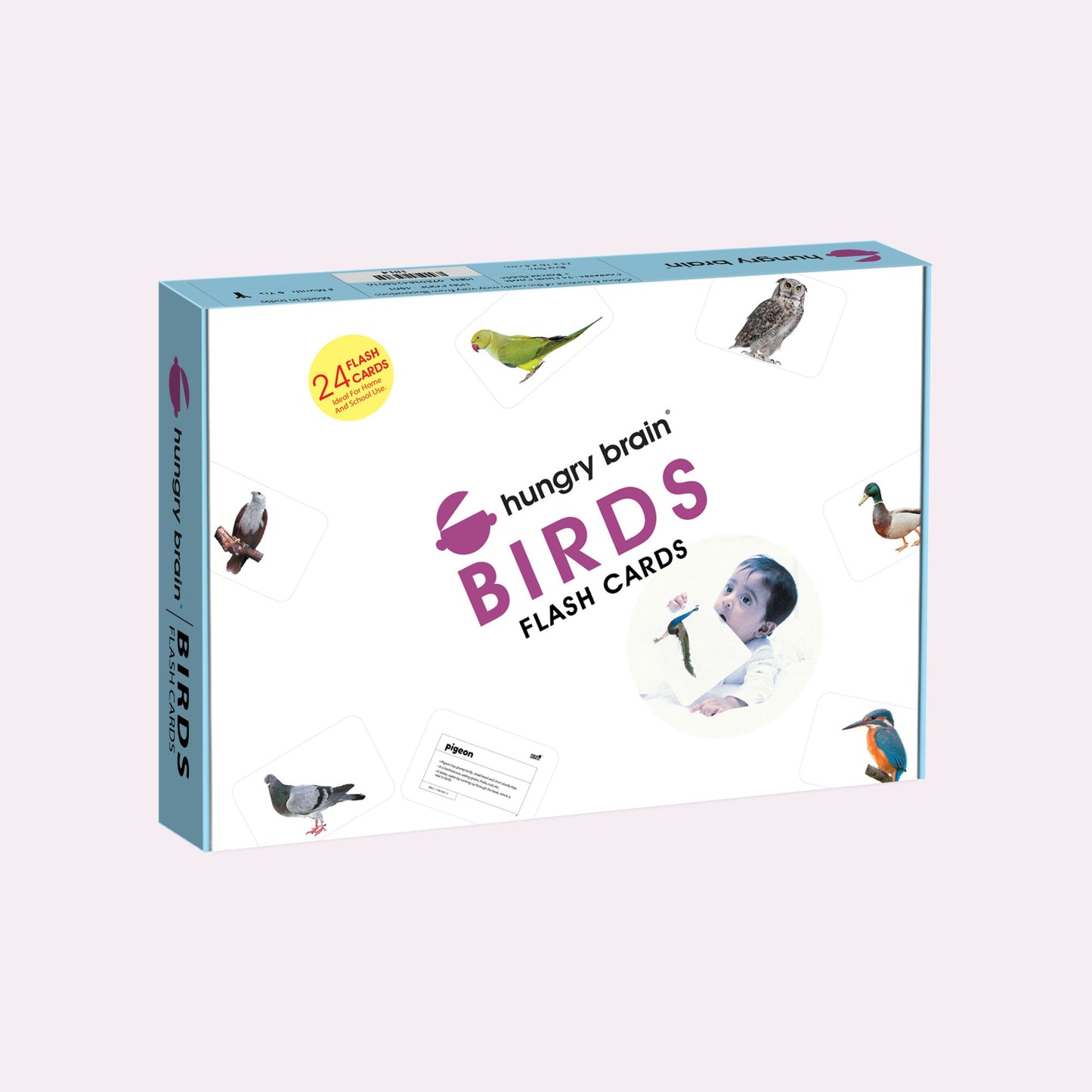 Hungry Brain Birds Flash Cards