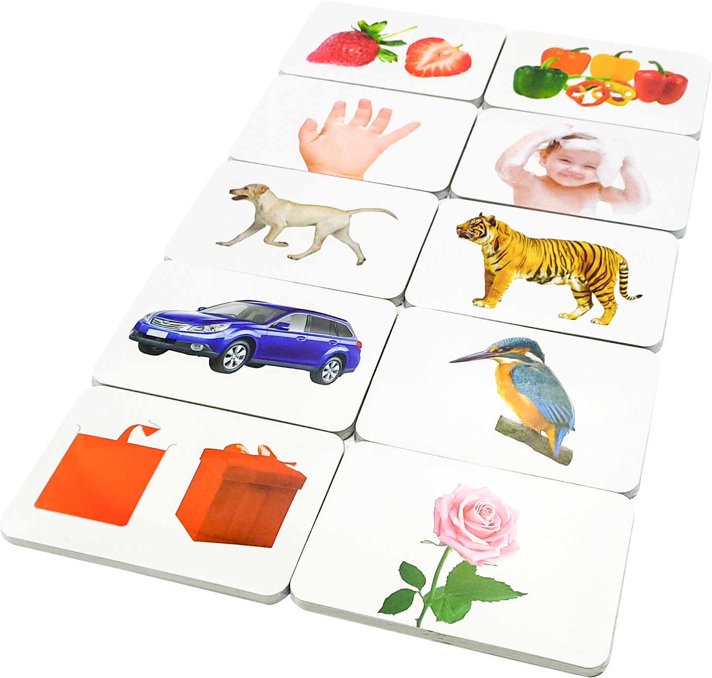 Hungry Brain Customised Program (For Baby's age between 2-6 months)