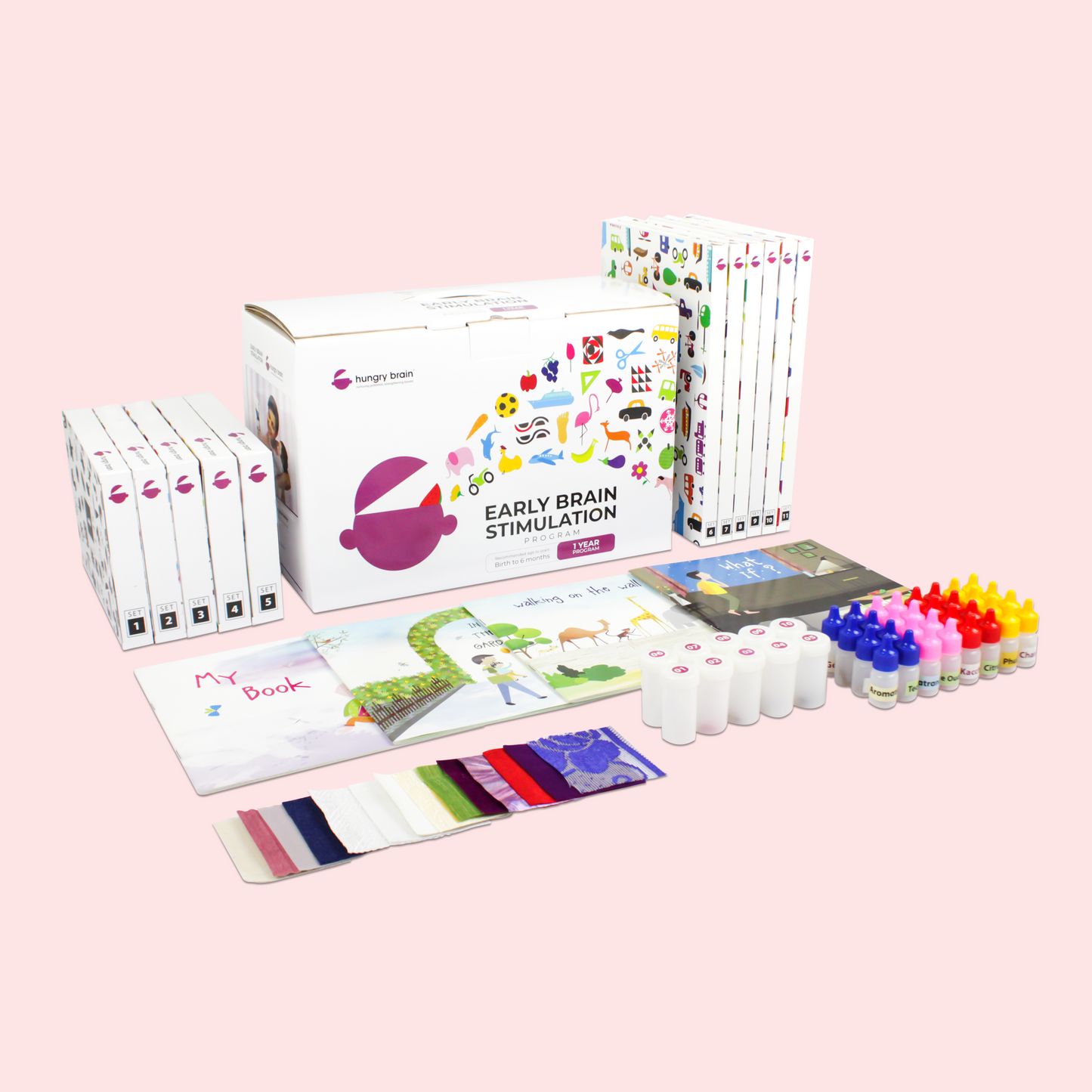Hungry Brain Customised Program (For Baby's age between 2-6 months)