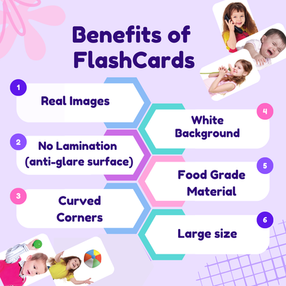 Hungry Brain 6 Pack of Set (A) Flash Cards