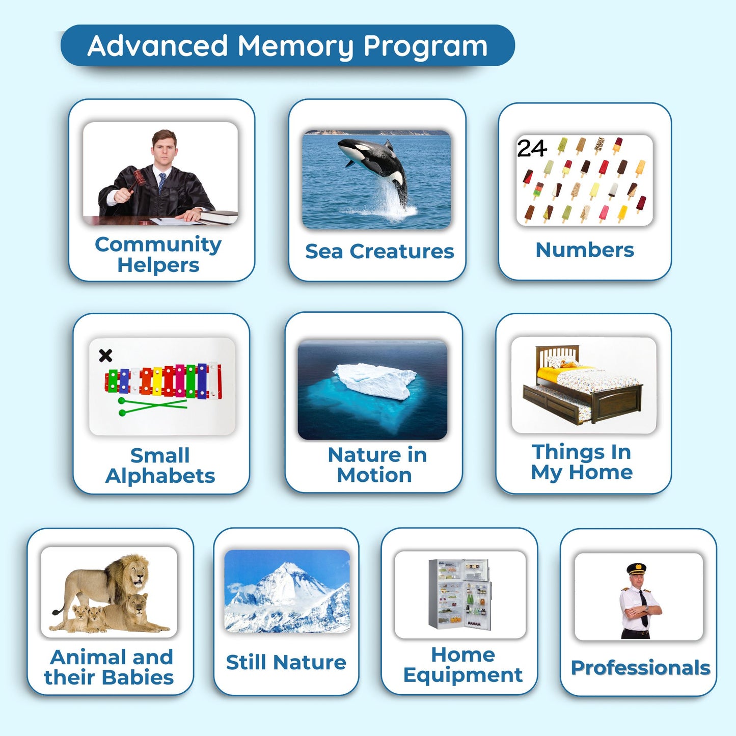 Hungry Brain Advance  Memory Program