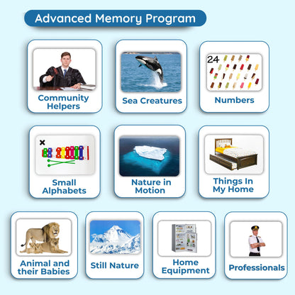 Hungry Brain Advance  Memory Program