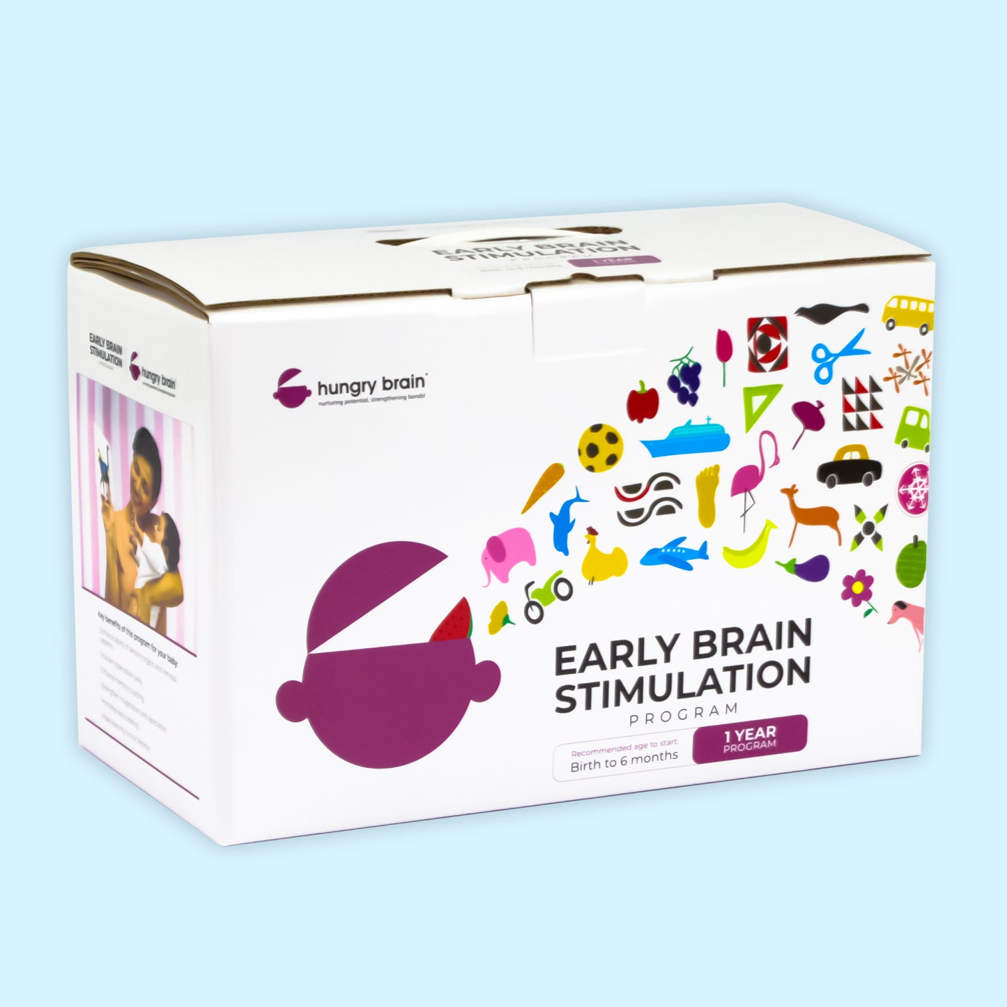 Early Brain Stimulation Program: Unlocking Your Baby's Full Potential