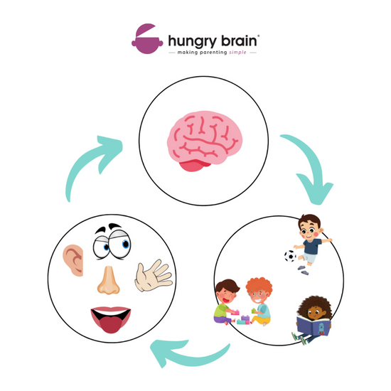 Newborns Learning Journey – Hungry Brain