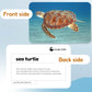Hungry Brain Sea Creatures Flash Cards