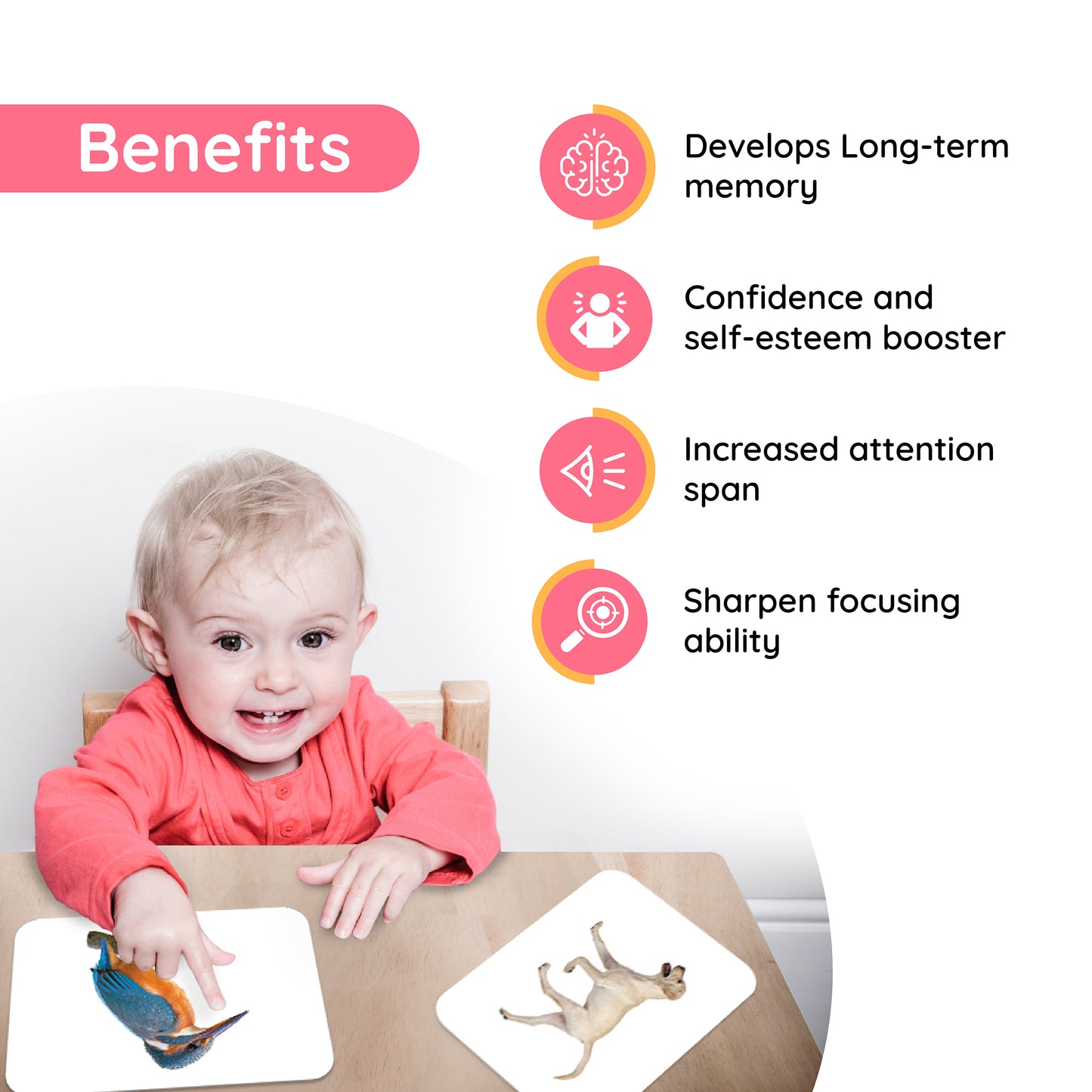 Customizable 3 Pack of Flash Cards