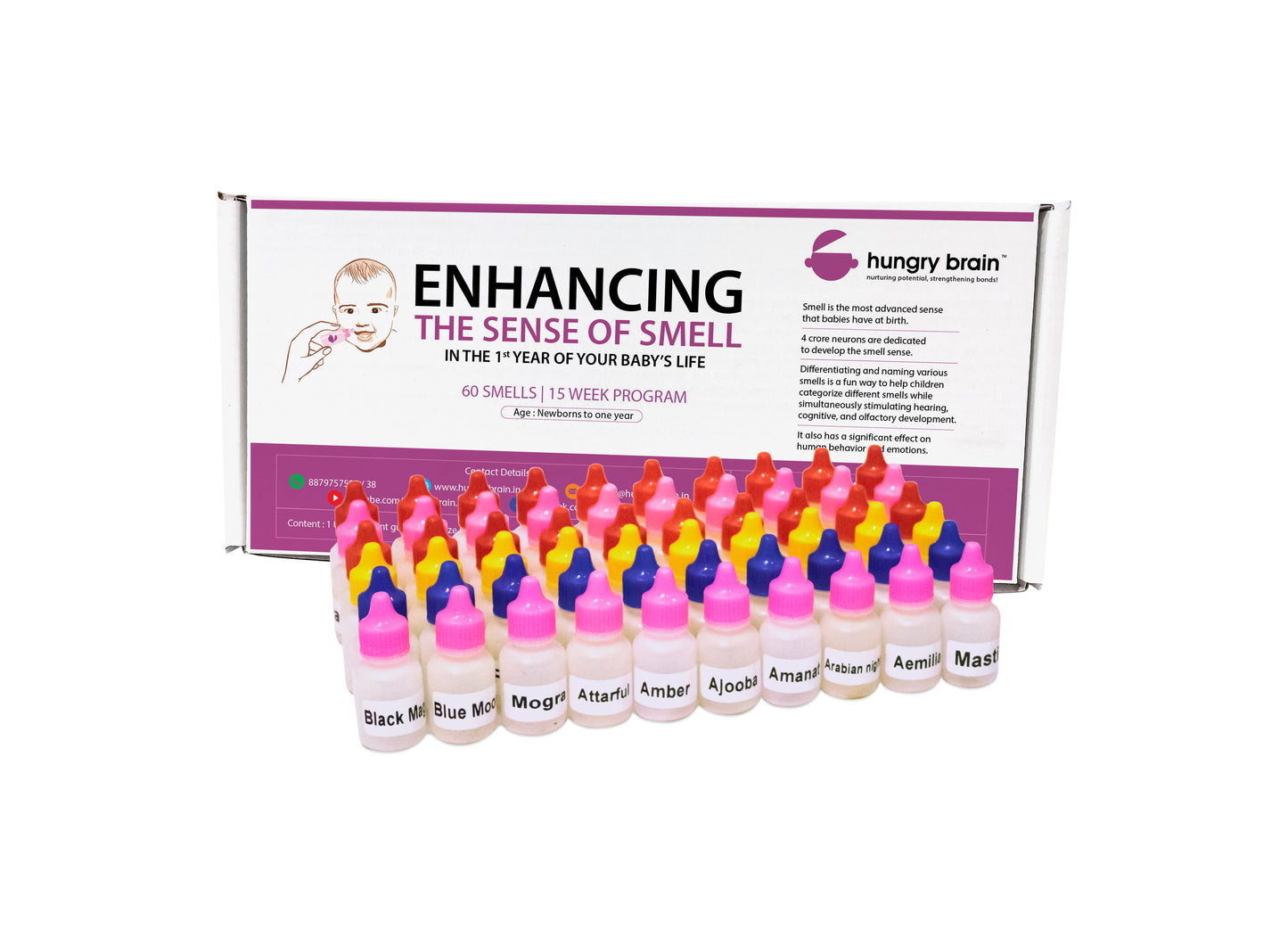 hungry brain enhancing the sense of smell, sense of smell, The sense of smell is more closely linked to memory than any of the other senses, The sense of smell is linked to the parts of the brain that process emotion