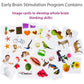 early brain stimulation image cards for babies