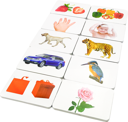 Hungry Brain Customised Program (For Baby's age between 2-6 months)