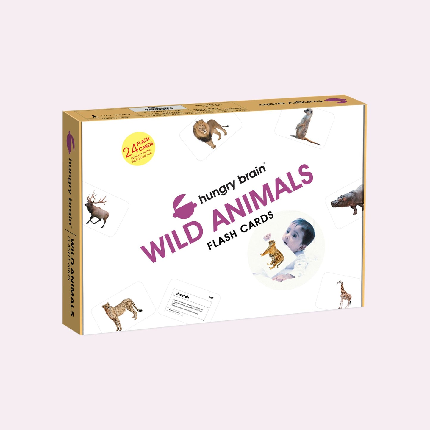 Hungry Brain Wild Animals Flash Cards