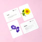 This set of wildflower flashcards features lovingly hand-painted watercolour images